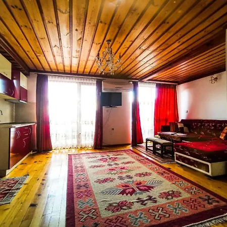 Hotell Alikante Sŭrnitsa